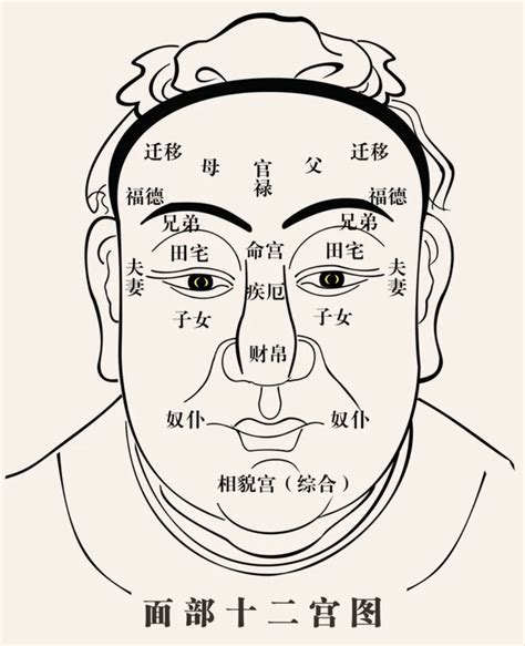 面相十二宫|相面秘诀——面相十二宫（上）